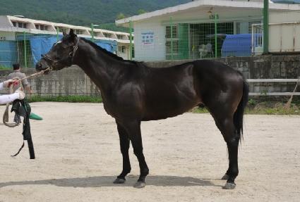 �ٺ񽺻��� ����