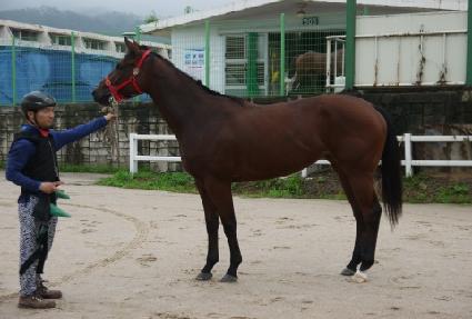 �����ѼҸ� ����