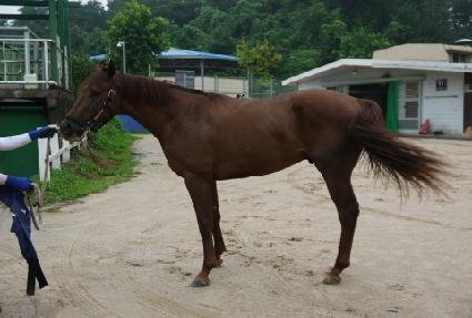 Ű���� ����