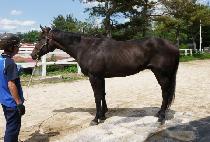 ���������̽� (MAGICAL CHOICE) ����