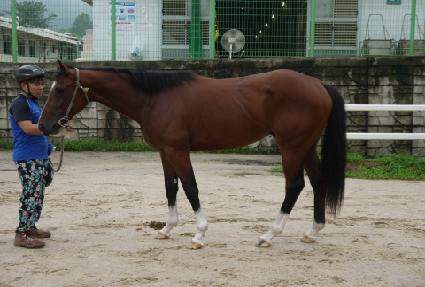 �����¡�轺 ����