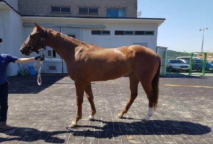 �������� ����