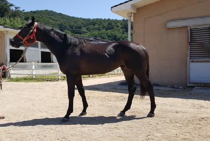 �����ιи��� ����