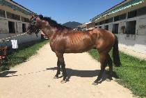 �����ְ� (JILJU CHOEGANG) ����