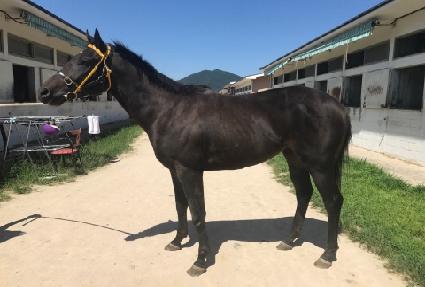 ����ƾ���� ����