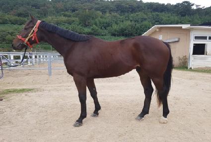 Ÿ��Ʋ��ġ ����