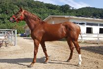 �����ġ (NEW YORK MANGCHI) ����