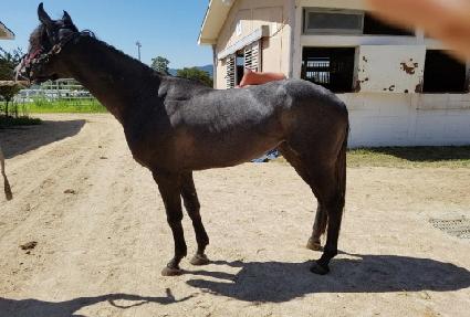 ��Ʈ�վ����� ����