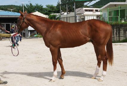 ����̴Ͼ� ����