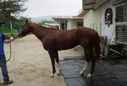 �ö��׺��� ����