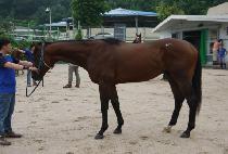 ��ũ�轺 (PARK SOCKS) ����