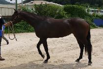 ����̳� (WHIZ REINA) ����