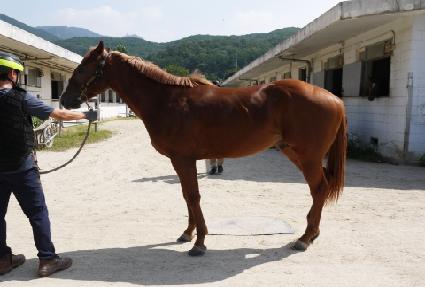 ���Ư�� ����