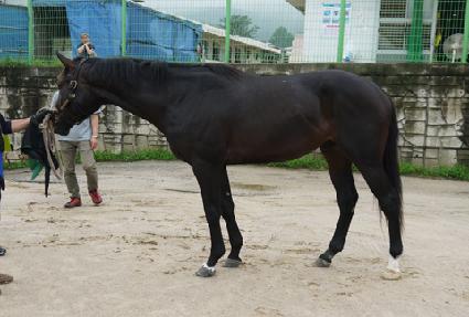 ��ũ��Ʋ�� ����