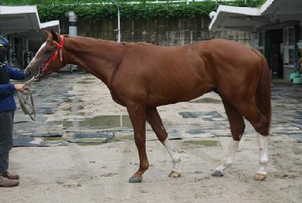 Ȳ���ǹ� ����