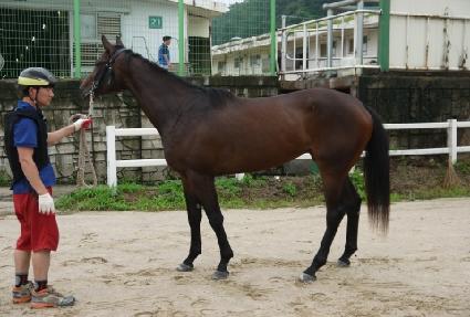 �̽�Ʈ��ġ ����