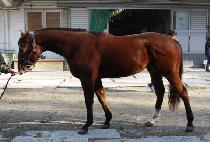 �������� (WANGUI JEONGWON) ����