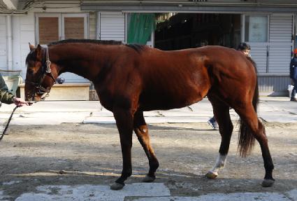 �������� ����