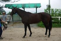 ����ź�� (MACH TANSAENG) ����