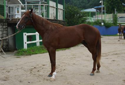 ����Ƽ�� ����