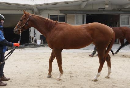 ���翥���̾� ����