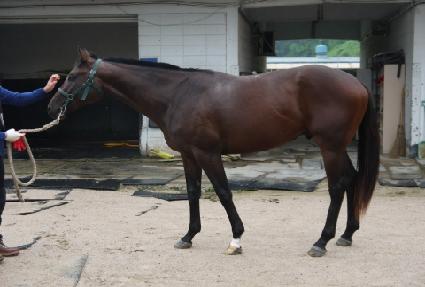 �̽����ͳ� ����