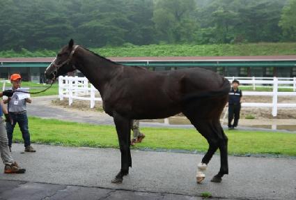 �����丮 ����