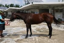 ������ (LOVE IT) ����