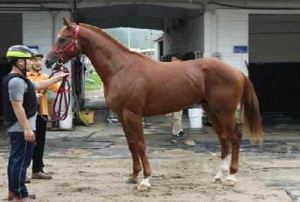 �ô�ü�̽� ����