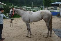 �����Ѽ��� (SOJUNGHAN SUNGAN) ����