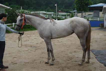 �����Ѽ��� ����