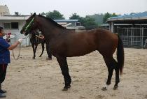 �̽�Ʈ�ȷν� (EAST PALOS) ����