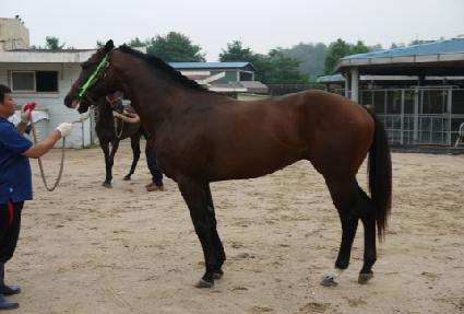 �̽�Ʈ�ȷν� ����