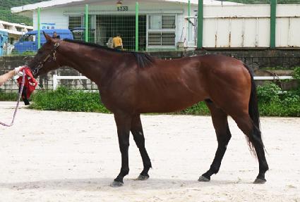 ���ǵ����� ����