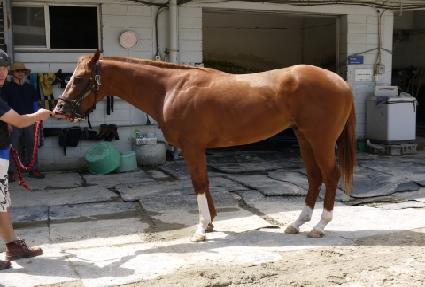 ������� ����