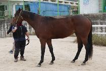 ��������� (HAPPY IS GOOD) ����