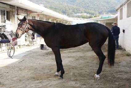 �����Ǵ��� ����