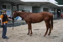 �����ɹ� (NAMSAN CHEMI) ����