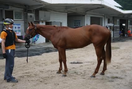 �����ɹ� ����