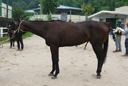 �丮���� ����