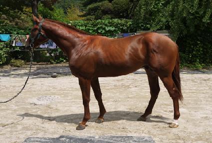 ���׺񵥿� ����