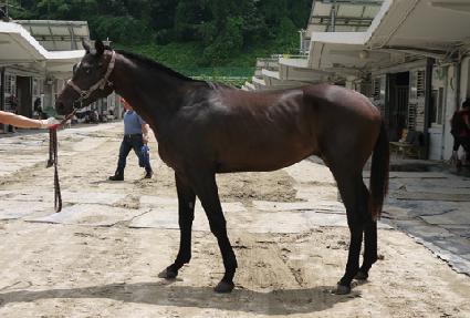 �佺�ڳ��Ĺ ����