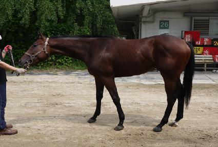 ��ó����괺���� ����