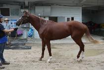 ���ο����� (SAEROUN CHAM BIT) ����