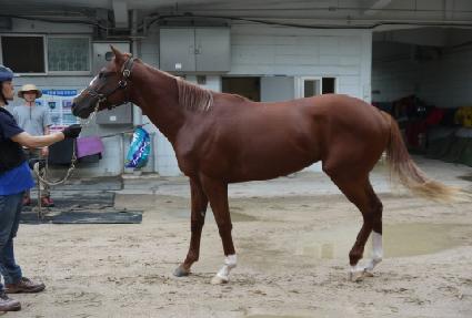 ���ο����� ����