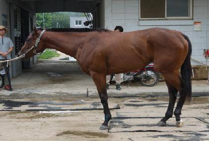 û������ ����