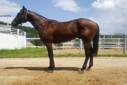 ī���������� ����