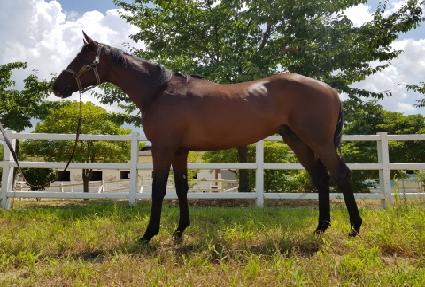 �������� ����