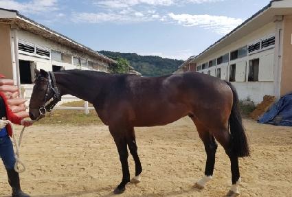 �Ƹ޸�ĭ���� ����