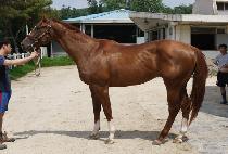 �õ���̸��ú귿 (OLD IRISH BRET) ����